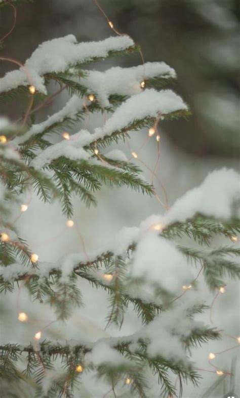 white christmas background aesthetic|white christmas backdrop.